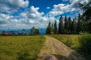 estate vacanza Visualizza di il tatra montagne nel Polonia a partire dal foto