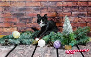 gattino bianco e nero con decorazioni natalizie foto