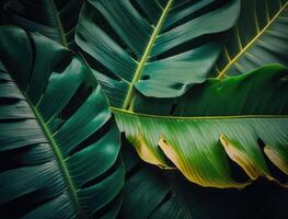 astratto verde tropicale Banana e Monstera le foglie sfondo creato con generativo ai tecnologia foto