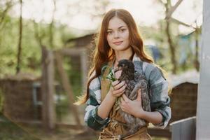 un' bellissimo donna contadino prende cura di il polli su sua azienda agricola e detiene un' grigio pollo sorridente. il concetto di biologico vita e cura per natura foto