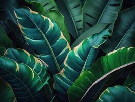 astratto verde tropicale Banana e Monstera le foglie sfondo creato con generativo ai tecnologia foto