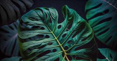 astratto verde tropicale Banana e Monstera le foglie sfondo creato con generativo ai tecnologia foto