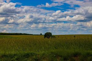 agricolo paesaggio nel Polonia su un' estate giorno foto