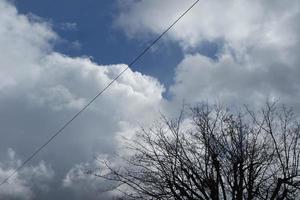 Basso angolo Visualizza di albero e rami a Locale parco foto