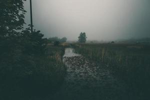 poco stretto fiume fluente attraverso il prato su grigio nebbioso giorno foto