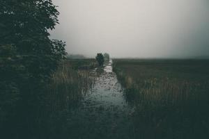 poco stretto fiume fluente attraverso il prato su grigio nebbioso giorno foto