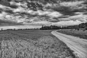 primavera paesaggio con un' sporco strada, campi, alberi e cielo con nuvole nel Polonia foto