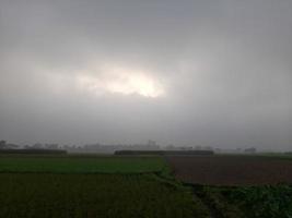 bellissimo paesaggio di Alba momento nel un' verdura campo nel bangladesh, Asia foto