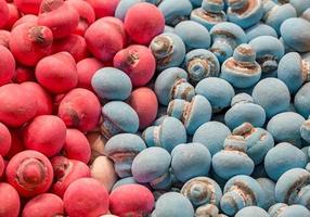 molti colorato rosso e blu caramelle piace un' fungo pronto per mangiare. foto