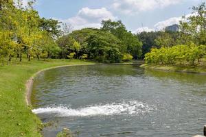 pubblicazione acqua in il piscina nel il parco foto