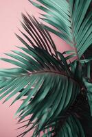 tropicale palma le foglie sfondo. illustrazione ai generativo foto
