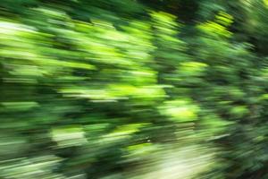 sfondo astratto di movimento ad alta velocità sfocato di alberi fuori dal treno foto