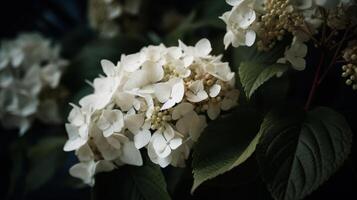 ortensia fiore sfondo. illustrazione ai generativo foto