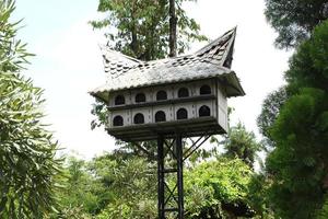 bogor Indonesia aprile 2023 Piccione uccello gabbia con un' tradizionale Casa modello a partire dal padang. foto