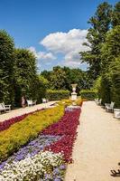 reale giardini a il castello nel varsavia nel Polonia su un' caldo estate giorno paesaggio foto