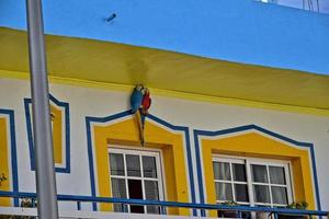 città di Corralejo su il spagnolo canarino isola Fuerteventura su un' caldo vacanza giorno foto