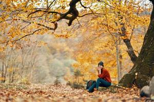 bellissimo donna nel un' jeans maglione si siede su il le foglie vicino un' albero paesaggio autunno parco foresta foto