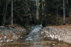 autunno foresta natura montagne fiume fresco aria viaggio turismo foto