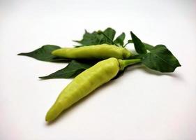 leggero verde chili Pepe o peperoncino di Cayenna Pepe isolato su bianca sfondo foto