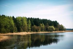 fiume con foresta in una giornata di sole foto