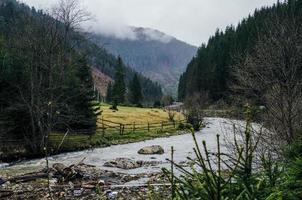 vista sul fiume nebbioso foto