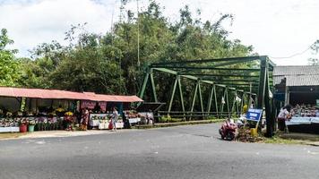 tomoon, Indonesia dicembre 2022, un' vivace fiore negozio avanti di il nuovo anno foto