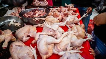 crudo pollo a il tondano tradizionale mercato foto