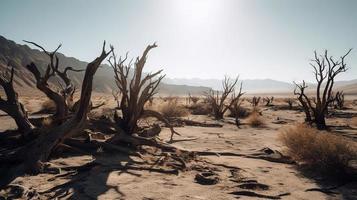 morto alberi nel il namib deserto, namibia, Africa foto