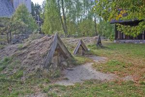 paesaggio con vecchio storico cantine coperto con terra per memorizzazione verdure nel un' tradizionale modo nel Polonia foto