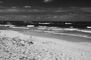 calma mare paesaggio su il spiaggia di il baltico mare nel Polonia con gabbiani su un' soleggiato giorno foto