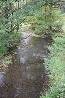 fiume netto nel autunno foto