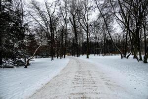 sentiero nel il parco nel varsavia Polonia su un' nevoso inverno giorno foto