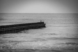 mare paesaggio di il baltico mare su un' calma giorno con un' di legno frangiflutti foto