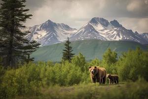 Marrone orso e Due cuccioli contro un' foresta e montagna fondale a katmai nazionale parco, alaska foto