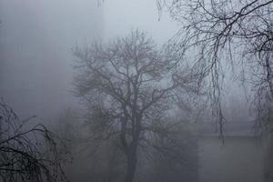 presto mattina nel un' nebbioso città, foschia. foto