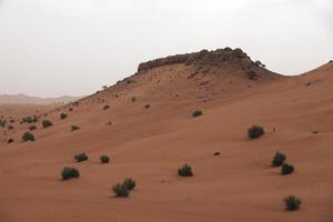 liwa deserto vicino dubai nel Emirati Arabi Uniti foto