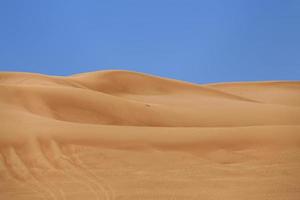 liwa deserto vicino dubai nel Emirati Arabi Uniti foto