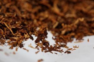 rotolamento secco tabacco foglie vicino su sfondo grande dimensione alto qualità azione fotografie fumo dipendente se stesso fatto sigarette e comune
