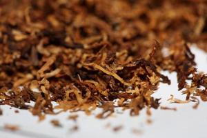 rotolamento secco tabacco foglie vicino su sfondo grande dimensione alto qualità azione fotografie fumo dipendente se stesso fatto sigarette e comune