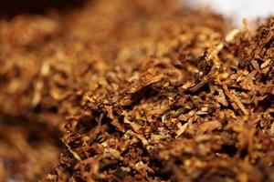 rotolamento secco tabacco foglie vicino su sfondo grande dimensione alto qualità azione fotografie fumo dipendente se stesso fatto sigarette e comune