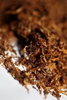 rotolamento secco tabacco foglie vicino su sfondo grande dimensione alto qualità azione fotografie fumo dipendente se stesso fatto sigarette e comune