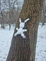 neve coniglio su un' albero tronco foto