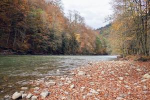 fiume montagne autunno foresta paesaggio fresco aria natura foto