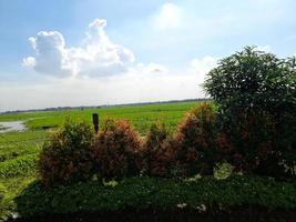 sorprendente paesaggio di bangladesh, bellissimo cielo, illimitato spazio. foto