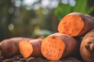 vicino su di dolce patate su natura sfondo con copia spazio. salutare vegano vegetariano cibo concetto foto