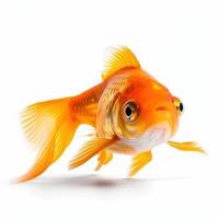 pesce rosso con un' bianca sfondo. ai generato foto