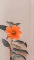 estetico arancia fiore con le foglie. retrò colori, minimalista composizione foto
