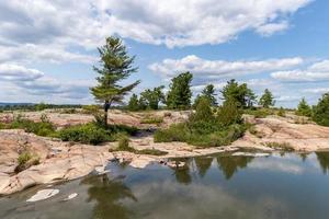 pino alberi su un' granito isola su georgiano baia, ontario, Canada foto