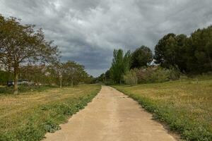 estate paesaggio con un' sabbioso strada nel il i campi su un' nuvoloso giorno foto