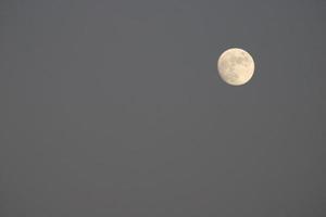 Luna nel grigio cielo a partire dal il spiaggia foto